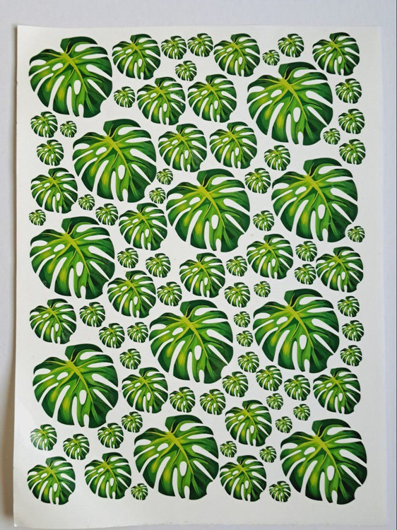 ترانسفر برگ انجیری(ترانسفر سرد) سایزA3